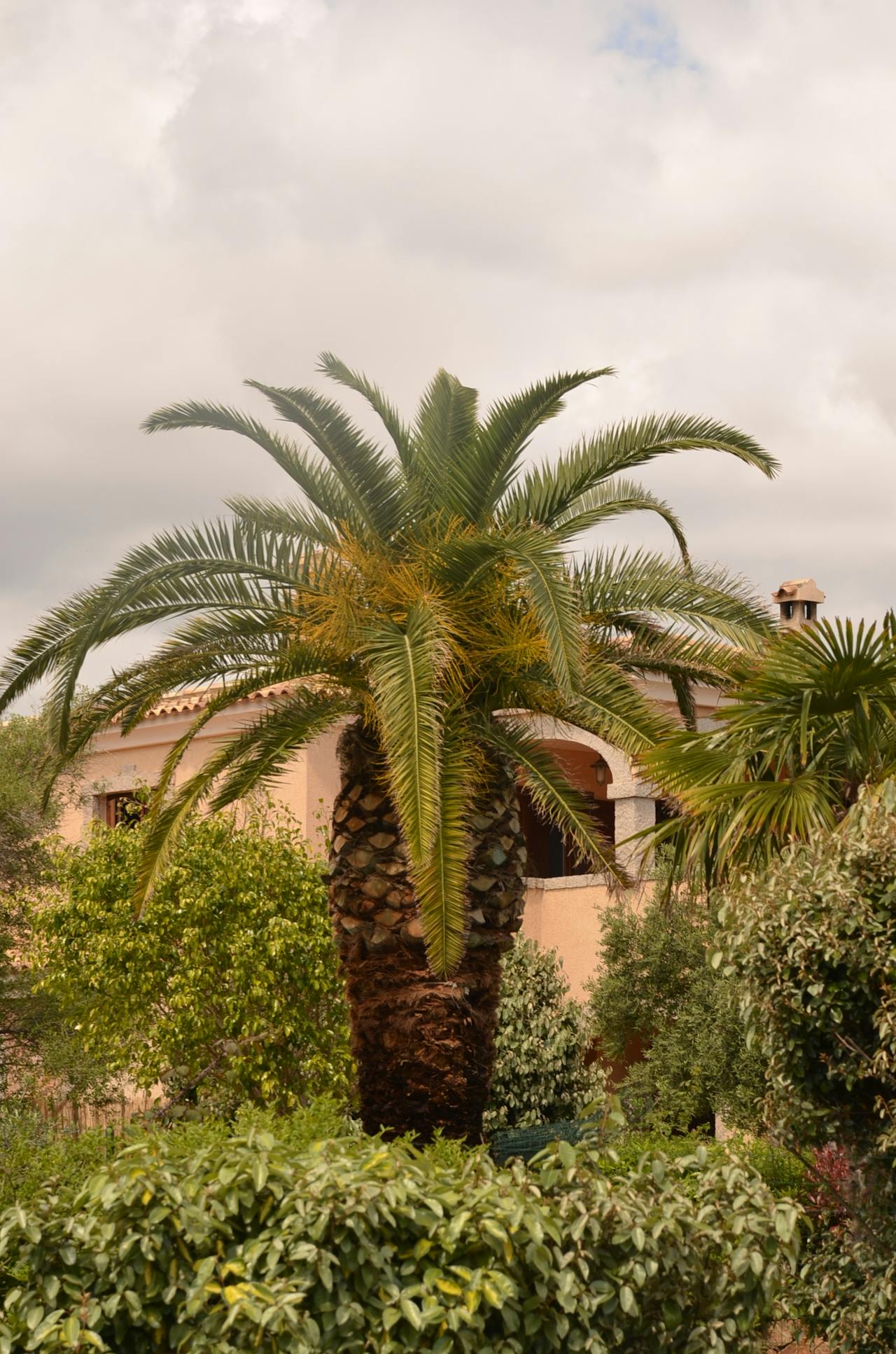 Jardin paysager méditerranéen à Nice